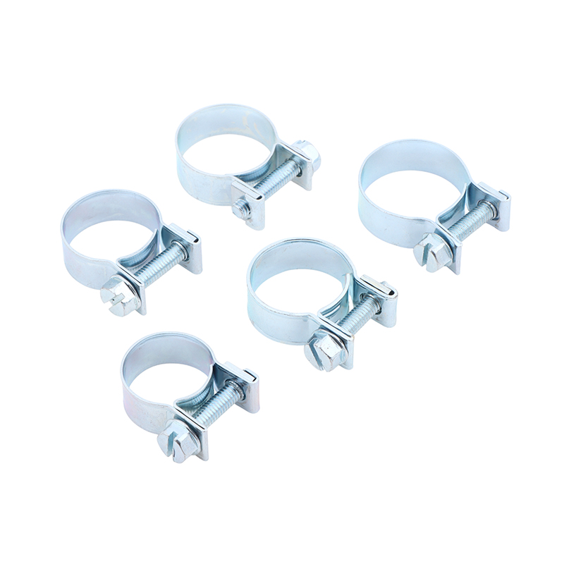 Jubilee Hose Clips 10Pcs Set f - Kids Outdoor Activity Set recension och pris